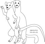  animal_genitalia balls black_and_white duo female feral fur genitals gesture interspecies looking_at_viewer low_res male male/female mammal monochrome murid murine mustelid musteline nude penis rat rodent sex sheath simple_background smile smiling_at_viewer standing tail true_musteline urbanhermit waving waving_at_viewer weasel 