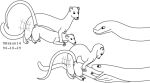  black_and_white duo feral feral_pred feral_prey forced fur interspecies larger_pred male male/male male_prey mammal monochrome murid murine mustelid musteline nude nude_male open_mouth rat rodent size_difference tail true_musteline unwilling_prey urbanhermit vore weasel 
