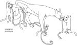  animal_genitalia balls black_and_white bound canid canine canis domestic_dog feral genitals group male male/male mammal monochrome mustelid musteline nude nude_male penis raised_tail rope sheath sitting size_difference standing tail true_musteline urbanhermit weasel 