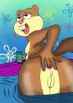  a-fitzga anal anal_fingering anal_masturbation anthro anus breasts brown_body brown_fur buckteeth butt female fingering fingering_self from_behind_(disambiguation) fur genitals mammal masturbation nickelodeon nude open_mouth pool_(disambiguation) pussy rear_view rodent sandy_cheeks sciurid smile solo spongebob_squarepants teeth tongue tongue_out tree_squirrel water 