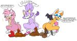 amy_rose anthro anus bat blaze_the_cat boots boots_only clothing crouching domestic_cat english_text eulipotyphlan existimatio feces feces_in_ass feces_on_body feces_on_butt feces_pile felid feline felis female footwear footwear_only green_eyes group hedgehog hi_res mammal mostly_nude nude nude_female onomatopoeia pooping pooping_on_floor pooping_together raised_tail rouge_the_bat sega shoes sonic_the_hedgehog_(series) sound_effects tail text trio wings