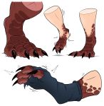  4_toes absurd_res ambiguous_gender digitigrade dragon foot_shot hi_res human mammal red_body red_scales scales sequence solo tinypigdraws toes transformation 
