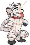 anthro bdsm black_clothing black_footwear black_socks bodily_fluids chastity_cage chastity_device chibi clothing collar crouching cum cum_drip cum_strand cum_while_chaste dripping duolai8 ear_piercing ear_tag ejaculation eye_roll felid flat_chastity_cage footwear genital_fluids hands_behind_back male mammal nude pantherine piercing qibajiu_(qibajiutts) scar shoeprint_on_body side_view simple_background socks solo submissive tiger tongue tongue_out urine urine_drip urine_on_face urine_on_tongue urine_stream watersports white_background