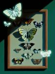 animated animated_gif blender_(medium) blue_butterfly bug butterfly display_board english_commentary ghost glowing_butterfly no_humans original shapeoftheday swallowtail_butterfly white_butterfly yellow_butterfly 