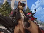 4:3 abs animal_genitalia anthro balls black_hair bottomless brown_body brown_fur canid canine canis city city_background cityscape clothed clothing countershading day detailed_background exhibitionism fangs fur genitals gloves green_eyes grin group hair handwear jackal jacket leather leather_clothing leather_jacket leather_topwear low-angle_view male mammal motorcycle motorcycle_helmet open_clothing open_jacket open_topwear oreobird outside penis penis_tip public public_exposure sheath smile solo_focus spread_legs spreading teeth topwear urban vehicle white_body white_countershading