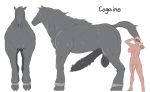  balls breasts equid equine erection feral front_view genitals gesture grey_body gynomorph hi_res hooves inriganan intersex larger_feral larger_male male mammal mane penis side_view simple_background size_difference v_sign vein white_background 
