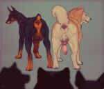akita akita_inu animal_genitalia animal_penis anus audience backsack balls bodily_fluids butt canid canine canine_genitalia canine_penis canis dobermann domestic_dog dripping duo erection feral firefangdragon genital_fluids genitals group hi_res kenzo_the_akita_inu knot knotted_penis looking_back male male/male mammal penis pinscher precum precum_drip presenting presenting_hindquarters realistic realistic_feral rex_the_dobermann side_by_side spitz take_your_pick tongue tongue_out