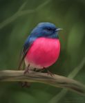  2018 ambiguous_gender avian beak bird bird_feet branch chiakiro feathers feral full-length_portrait on_branch portrait solo text url 