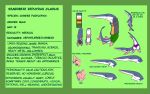  16:10 chinese_paddlefish claws english_text fin fish hi_res male marine model_sheet paddlefish seabreeze_gladius_(whitesharks) sharp_teeth teeth text 