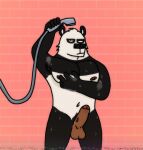 adam's_apple anthro armpit_hair balls bathing bear black_body black_fur black_nose body_hair brick brick_wall eddicus erection foreskin fur genitals giant_panda hi_res lance_(eddicus) male male_anthro mammal multicolored_body multicolored_fur narrowed_eyes nude_anthro nude_male pecs penis shower showering solo two_tone_body two_tone_fur vein veiny_penis vhs_filter wall_(structure) wet wet_body wet_fur white_body white_fur