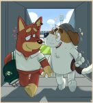 2026 aged_up anthro armor australian_kelpie beanie black_eyes black_nose bluey_(series) bodily_fluids brown_body brown_ears brown_fur brown_nose brown_tail canid canine canis clothing cricket_(sport) digital_media_(artwork) domestic_dog duo ear_piercing ear_ring eye_contact fur green_clothing green_helmet green_shirt green_topwear grey_beanie grey_clothing grey_hat grey_headwear hair hand_holding hat headgear headwear heart_symbol helmet herding_dog hi_res hunting_dog jack_russell_(bluey) jack_russell_terrier looking_at_another love male male/male mammal motion_lines multicolored_body multicolored_clothing multicolored_fur multicolored_shirt multicolored_topwear orange_body orange_fur pastoral_dog piercing red_body red_ears red_fur red_hair red_tail ring_piercing romantic romantic_couple rusty_(bluey) shaibey sheepdog shirt smile sparkles stadium star_eyes sweat tail tail_motion tailwag teeth terrier tongue topwear two_tone_body two_tone_clothing two_tone_fur two_tone_shirt two_tone_tail two_tone_topwear walking walking_together white_body white_clothing white_fur white_hair white_shirt white_tail white_topwear