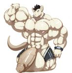  aidan_mouse anthro balls big_balls big_muscles big_penis black_hair bobert boxers_(clothing) clock clothing erection flexing fur genitals hair hi_res huge_balls huge_muscles huge_penis hyper hyper_balls hyper_genitalia hyper_muscles hyper_penis loking_at_viewer male mammal mouse murid murine muscular nipples penis rodent simple_background smile underwear vein veiny_penis watch white_background white_body white_fur wristwatch 