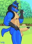  2020 5_fingers abs absurd_res anthro areola balls biceps big_balls big_penis black_body black_fur blue_body blue_tail blush bodily_fluids chest_tuft day detailed_background digital_media_(artwork) eyebrows eyelashes fingers fur genital_fluids genitals grass hi_res humanoid_genitalia humanoid_penis layndon looking_at_viewer lucario male muscular muscular_male nintendo nipples nude outside pecs penis plant pok&eacute;mon pok&eacute;mon_(species) precum red_eyes sky solo spikes standing tree tuft video_games yellow_body 