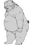  2020 anthro belly butt chisa_sa humanoid_hands kemono male mammal moobs nipples overweight overweight_male simple_background solo ursid white_background 