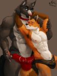  armpit_hair better_version_at_source body_hair bulge canid canine canis fox hi_res male male/male mammal muscular muscular_male otterscience size_difference wolf 