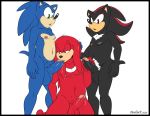  aval0nx balls genitals group group_sex handjob knuckles_the_echidna male male/male nipples oral penile penis pubes sex shadow_the_hedgehog sonic_the_hedgehog sonic_the_hedgehog_(series) threesome 
