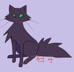  domestic_cat felid feline felis feral hollyleaf_(warriors) mammal warriorcunt warriors_(cats) 