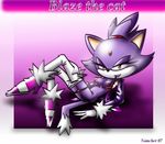  blaze_the_cat nancher sonic_team tagme 