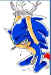  manaita sonic_team sonic_the_hedgehog tagme 