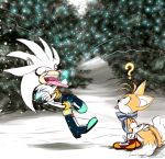  2015 ? anthro boots canid canine clothing crossed_arms duo eulipotyphlan eyes_closed floating footwear fox fur gloves grey_body grey_fur handwear hedgehog humor looking_up male mammal miles_prower open_mouth outside scarf shoes silver_the_hedgehog snow snowing sonic_the_hedgehog_(series) tongue tongue_out tree white_body white_fur yanimae yellow_body yellow_fur 