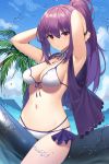  bikini fate/grand_order scathach_skadi swimsuits tagme 