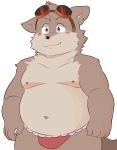  2020 akareishibe asian_clothing belly blush canid canine canis clothing cute_fangs domestic_dog east_asian_clothing fundoshi japanese_clothing kemono male mammal moobs navel nipples overweight overweight_male simple_background solo underwear white_background 