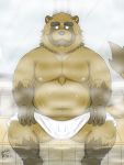  2019 3:4 anthro bathing belly brown_body brown_fur bulge canid canine fur genital_outline hi_res humanoid_hands kemono male mammal moobs nipples overweight overweight_male penis_outline raccoon_dog sitting solo tanuki tanutronik753_k towel 