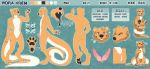  2020 4_toes 5_fingers anthro digital_media_(artwork) digitigrade english_text fight_(artist) fingers lutrine male mammal model_sheet mustelid solo text toes 