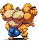  anthro balls big_balls big_bulge big_muscles big_penis bobert bowser bracelet bulge clothing collar eyewear genitals grin hi_res horn huge_balls huge_bulge huge_muscles huge_penis hyper hyper_balls hyper_bulge hyper_genitalia hyper_muscles hyper_pecs hyper_penis jewelry looking_at_viewer male mario_bros musclegut muscular navel nintendo nipples penis simple_background smile spiked_bracelet spiked_collar spikes sunglasses underwear video_games white_background 