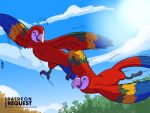  4:3 avian bird cloud day duo hi_res joaoppereiraus macaw neotropical_parrot parrot patreon sky sun text true_parrot url 