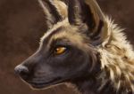  2020 african_wild_dog ambiguous_gender black_nose brown_background canid canine fluffy fur headshot_portrait inner_ear_fluff kebi mammal portrait simple_background solo tan_body tan_fur tuft whiskers 
