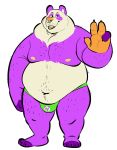  2020 anthro belly bulge burrnie clothing fur giant_panda hi_res humanoid_hands male mammal moobs navel nipples overweight overweight_male simple_background solo underwear ursid white_background white_body white_fur 