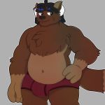  2020 anthro big_bulge brown_body bulge canid canine clothed clothing digital_media_(artwork) doodle_box fur male mammal overweight overweight_male slightly_chubby solo topless underwear 