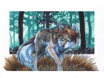  2020 black_nose brown_hair canid canine canis female feral forest hair mammal outside solo tree wielder wolf 