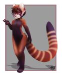  2013 ailurid anthro border brown_body brown_fur brown_hair cheek_tuft facial_markings facial_tuft featureless_crotch fur hair head_markings looking_at_viewer mammal markings navel nude red_panda rudragon smile solo standing tuft white_border 