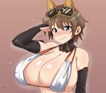  1girl absurdres animal_ears bikini_top blush breasts brown_background brown_eyes brown_hair commentary_request detached_collar gauntlets goggles goggles_on_head hand_on_own_head highres huge_breasts katou_keiko looking_at_viewer short_hair solo sweatdrop tavor_(m_tavor) upper_body world_witches_series 