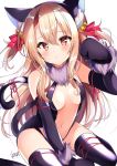  animal_ears nekomimi nenobi_(nenorium) tagme tail 