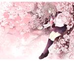  akakura brown_hair cherry_blossoms flowers kneehighs long_hair original petals pink_eyes tree 