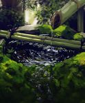  afloat bamboo blurry blurry_background day depth_of_field highres leaf maple_leaf moss nagishiro_mito nature no_humans original outdoors ripples scenery shishi_odoshi tree water 