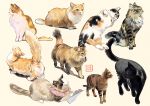  animal cat original tagme umishima_senbon 