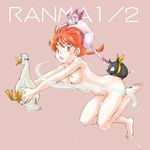  barefoot biifun bird braid breasts cat duck feet genderswap genderswap_(mtf) hibiki_ryouga medium_breasts mousse mousse_(duck) nipples nude p-chan pig ranma-chan ranma_1/2 red_eyes red_hair saotome_ranma shampoo_(ranma_1/2) single_braid 