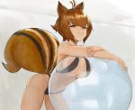  1girl :3 animal_ears antenna_hair arqa ball bare_arms bare_hips bare_shoulders bikini black_bikini blazblue breast_press breasts brown_eyes brown_hair cleavage closed_mouth grey_background large_breasts looking_at_viewer makoto_nanaya navel short_hair smile smug solo squirrel_ears squirrel_girl squirrel_tail swimsuit tail transparent 