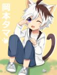  1boy animal_ears brown_hair cat_boy cat_ears commentary_request eyebrows_visible_through_hair highres looking_at_viewer male_focus meranoreuka_(naokentak) multicolored_hair okamoto_tama one_eye_closed partial_commentary paw_pose purple_eyes solo two-tone_hair uchi_no_tama_shirimasen_ka? white_hair 