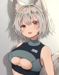  1girl animal_ears barcode blush breasts fang highres inubashiri_momiji large_breasts mamemochi name_tag red_eyes short_hair tail touhou vest white_hair wolf_ears wolf_tail 