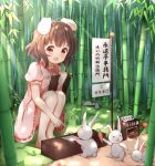  1girl :d absurdres animal animal_ears bamboo bamboo_forest barefoot blush brown_eyes brown_hair bunny bunny_ears carrot carrot_necklace clipboard commentary_request day dress forest highres holding inaba_tewi nature open_mouth outdoors pink_dress pointing puffy_short_sleeves puffy_sleeves ribbon-trimmed_dress short_hair short_sleeves sign smile solo squatting stick_jitb touhou translation_request 