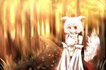  animal_ears bad_id bad_pixiv_id bare_shoulders detached_sleeves hal360 hat inubashiri_momiji red_eyes solo tail tokin_hat touhou white_hair wolf_ears wolf_tail 