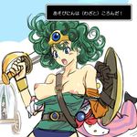  blue_eyes breasts circlet dragon_quest dragon_quest_iv green_hair hat heroine_(dq4) large_breasts michael nipples shield solo sword translated weapon 