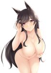  1girl animal_ear_fluff animal_ears atago_(azur_lane) azur_lane bangs black_hair blush breasts closed_mouth collarbone commission cowboy_shot euforia eyebrows_visible_through_hair groin hand_in_hair hand_up heart heart-shaped_pupils large_breasts leaning_forward long_hair nipples nude sidelocks simple_background smile solo swept_bangs symbol-shaped_pupils very_long_hair white_background yellow_eyes 