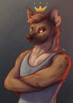  2020 anthro brown_body brown_fur clothed clothing crossed_arms fur head_tuft hi_res hyaenid kebi light lighting male mammal notched_ear shirt simple_background smile solo tank_top topwear tuft whiskers 