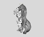  absurd_res animal_genitalia anthro canid canine canis collarclaws dalmatian domestic_dog duo feral fur genitals hi_res hug hugging_from_behind male male/male mammal paws sheath smile spots spotted_body spotted_fur standing_on_hind_legs wolf zirius 